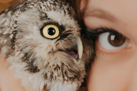 Kasino AllStar Slots Sokongan